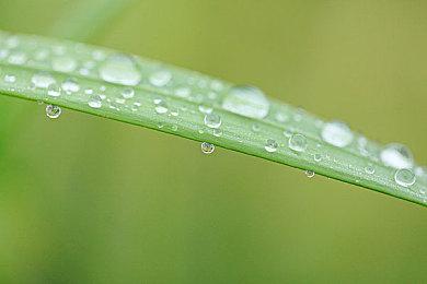 NS版《尼尔：机械纪元》中文预告 机器大战一触即发